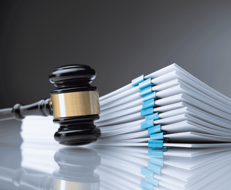 Illegal work and the shvarcsystem under scrutiny