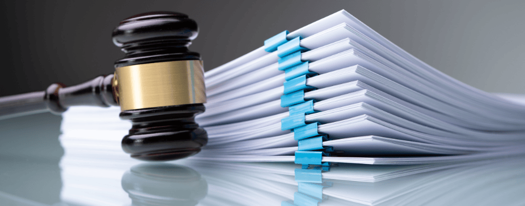 Illegal work and the shvarcsystem under scrutiny